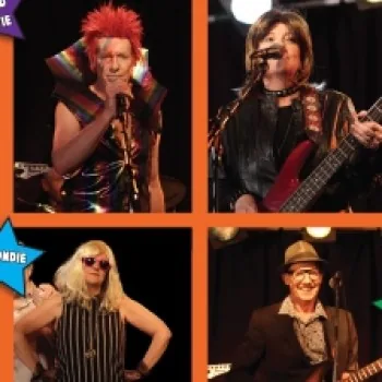 Idols of the 70's Tribute Show